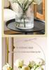 Trendy Transparent Glass Hydroponic Flower Vase for Fresh Roses - Elegant Living Room/Dining Table Decor