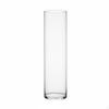 Modern Minimalist Glass Vase, Cylindrical Transparent Flower Container, Countertop Decor for Living