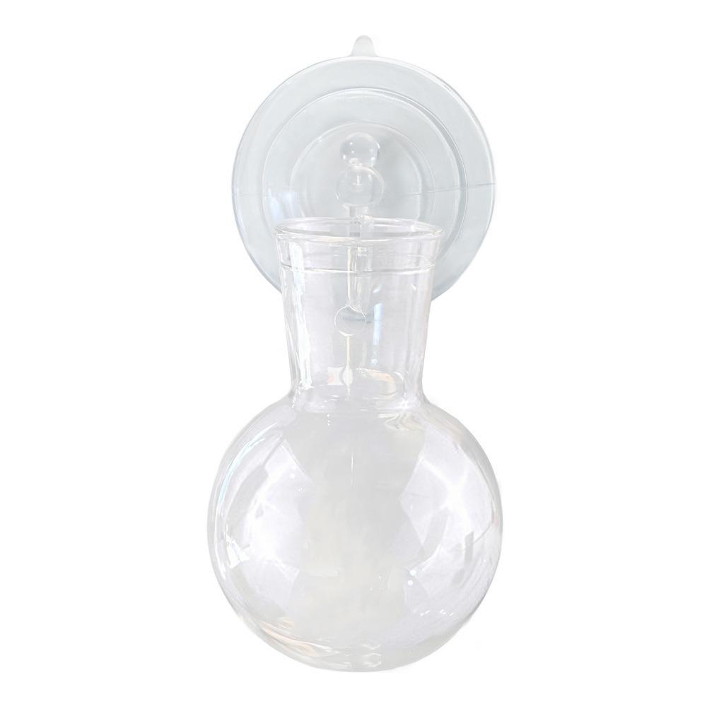 Transparent Wall-Mounted Hydroponic Plant Vase with Suction Cup Hook for Pothos - Small Hanging Eco-Bottle Container