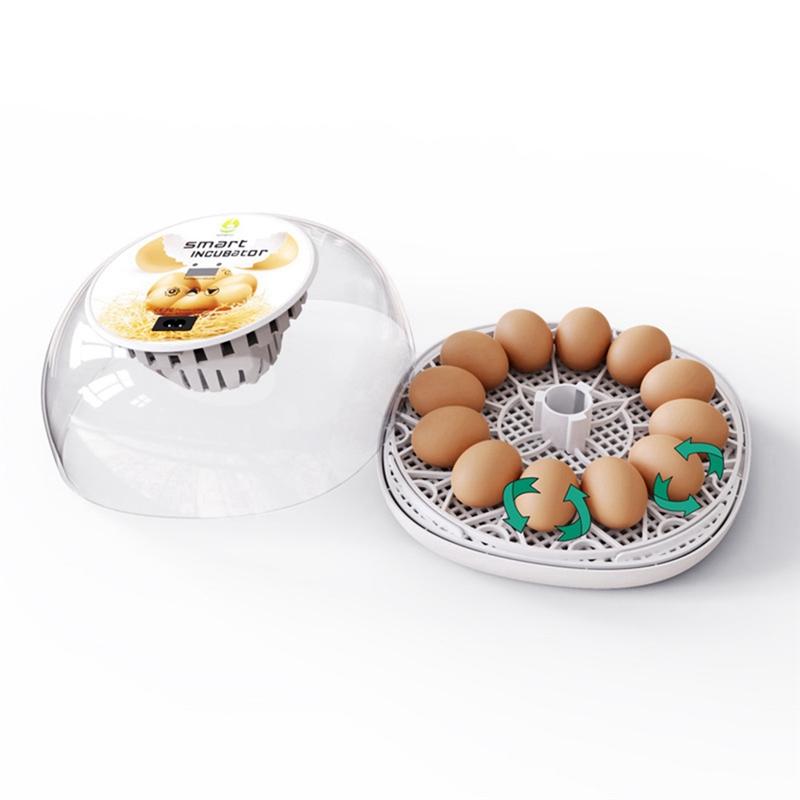2025+ Egg Incubators Chicken Incubators Farm Poultry Hatcher Machine Automatic Egg Turning Temperature Control US Plug China Mainland
