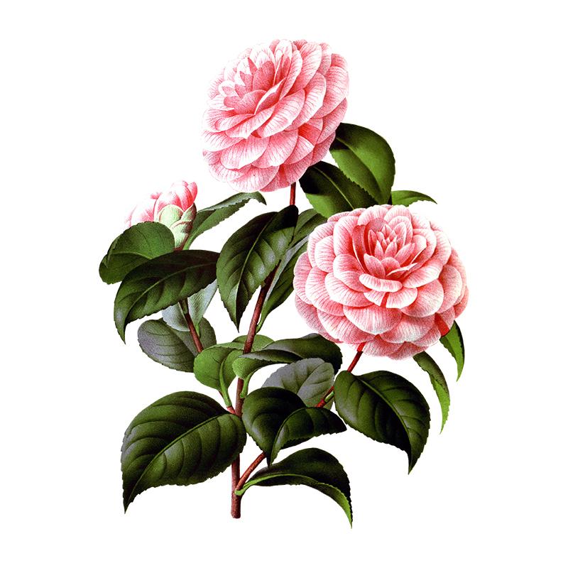 T308# Gorgeous Bouquet Wall Sticker Bathroom Toilet Decor Living Room Cabinet Refrigerator Home Decoration Decals