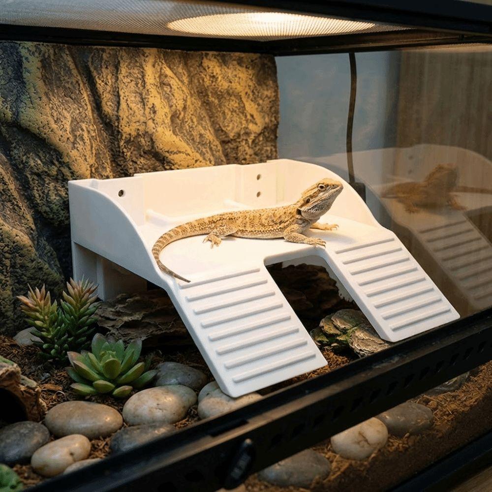 Plastic Turtle Climbing Ramp with Suction Cups Reptile Terrace Feeding Platform Aquarium Decor