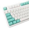 149 for Key Two Color Keycap PBT Double Shot CSA Mechanical Keyboard Keycap for  Shaft for  MX H/108/98/