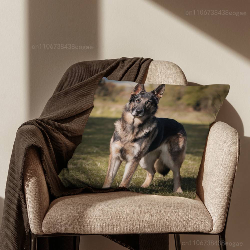 Stylový povlak na polštář s německým ovčákem Potah na polštář na pohovku do obývacího pokoje Vhodný pro dekoraci a ochranu domácí ložnice
