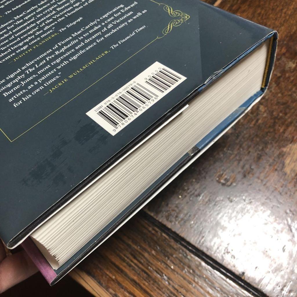 [USED] The Last Pre-Raphaelite: Edward Burne-Jo