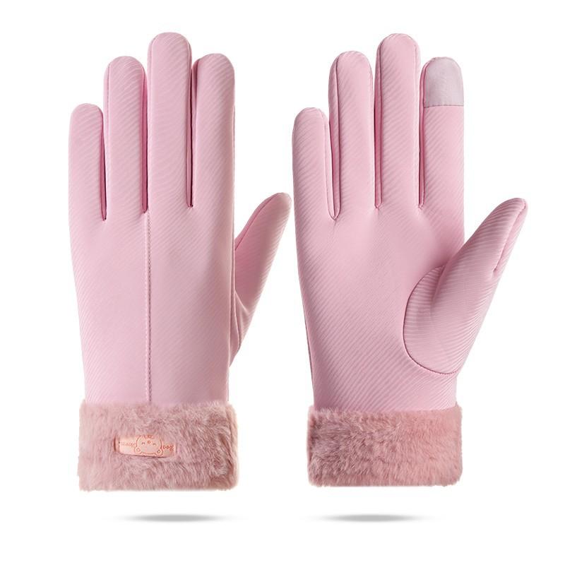 Warm Gloves Women's Autumn and Winter Fleece Thickened Touch Screen Windproof and Water-proof Fashionable Skiing Driving and Riding Gloves