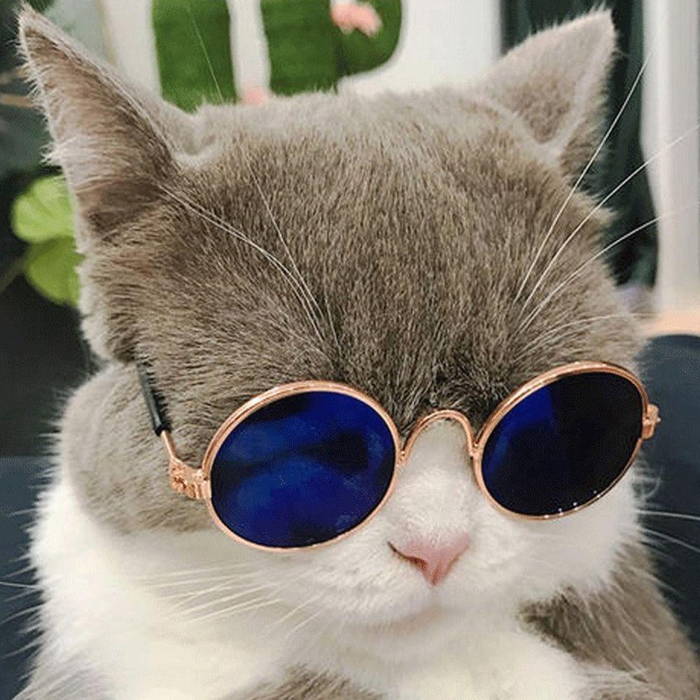 For Little Dog Cat Photos Props Trend Toys Pet Sunglasses Eye-wear Cat Glasses Reflection Glasses