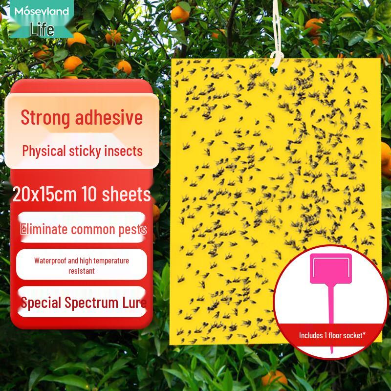 Double-Sided Sticky Insect Traps
