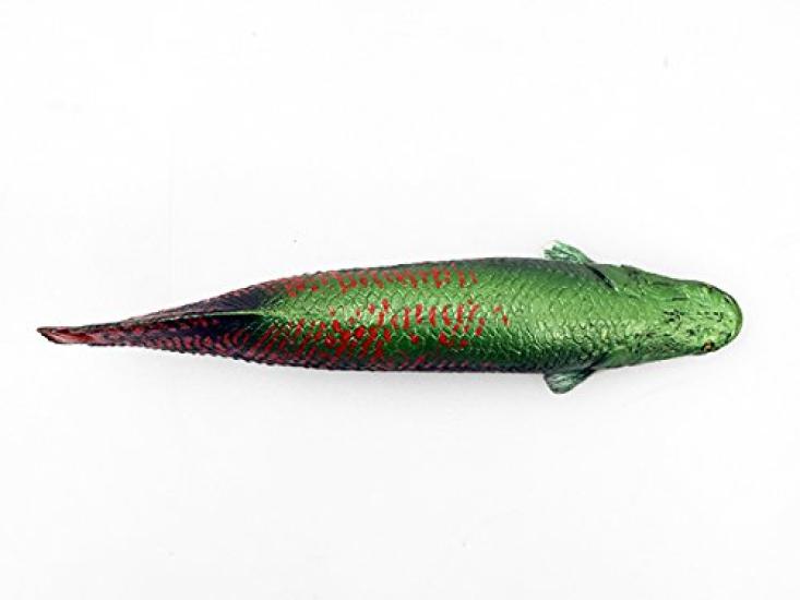 Pirarucu Soft Model (FF-002)