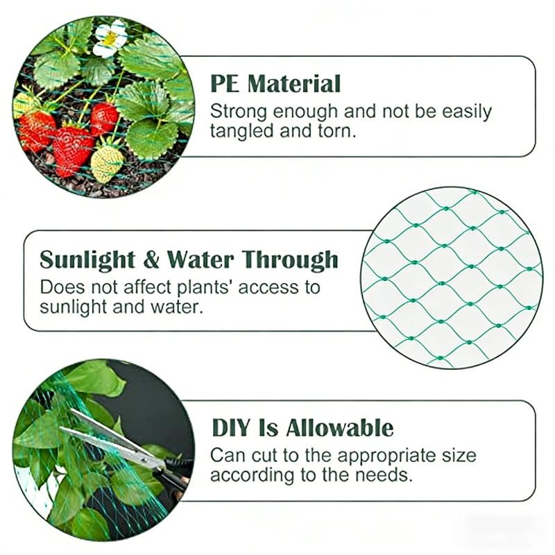 Garden Bird Netting Anti-Bird Protection Mesh Net for Plants, Fruit Trees & Vegetables, Multiple Sizes 2x2m 2x5m 4x4m 4x5m