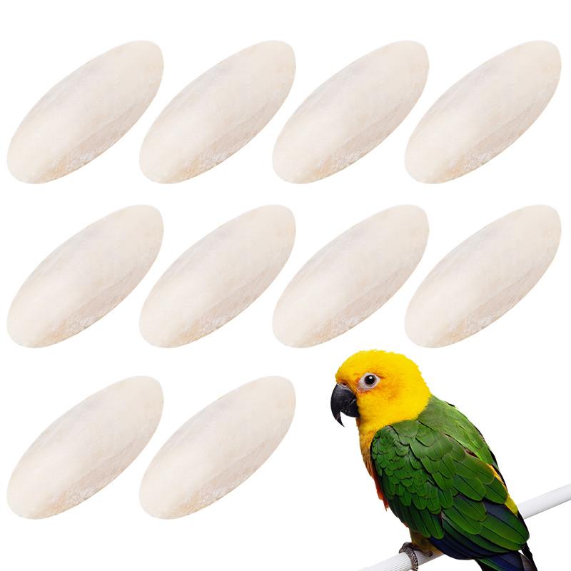

10 Pcs Parrot Desalting Cuttlebone Toys Practical Pet Training Chew Molar Toys Parrot Desalted Cuttlefish Bone Chewing Toy білий
