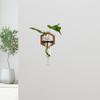 Hydroponic Vase Home Office Decor Easy To Install Flower Pot Decoration Wall Mount Wooden Shelf for Living Room Bedroom Balcony