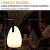 Versatile USB Rechargeable LED Outdoor Camping Lamp Remote Control RGB Ambient Light for Bedroom Dining Camping