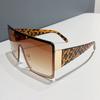 Fashion Large Frame Sunglasses for Women UV400 Protection Wide Rim Catwalk Street Style Ins
