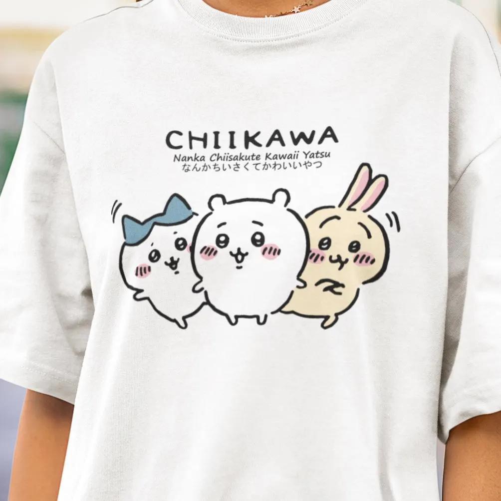 Chiikawa Usagi Hachiware Interesting Daily Scene