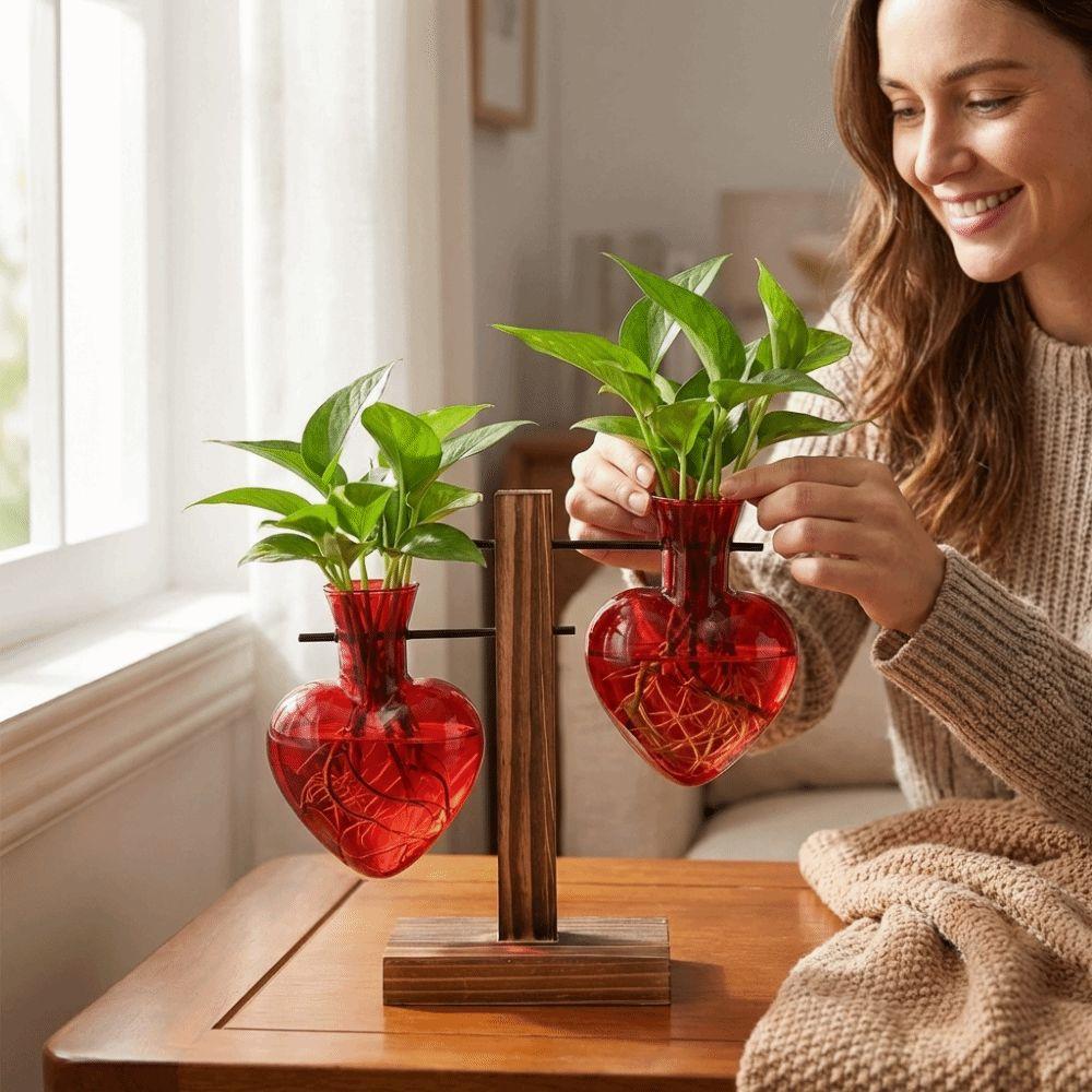 Transparente Hydroponik-Pflanzenvase Holzständer Holzrahmen Vase Pflanzenliebhaber Geschenk