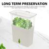 Clear Herb Saver Storage Container Airtight Fresh Herb Keeper for Refrigerator Vegetable Vanilla Bean Storage Box Herb Preserver