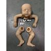 NPK 19inch New Arrival Twins Kit Lily and Irys Soft Touch Fresh Color Cloth Body Included
