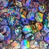 50PCS Cartoon Holographic Laser Creative Biology Graffiti Stickers Decorative Guitar Notebook Luggage DIY Waterproof Stickers
