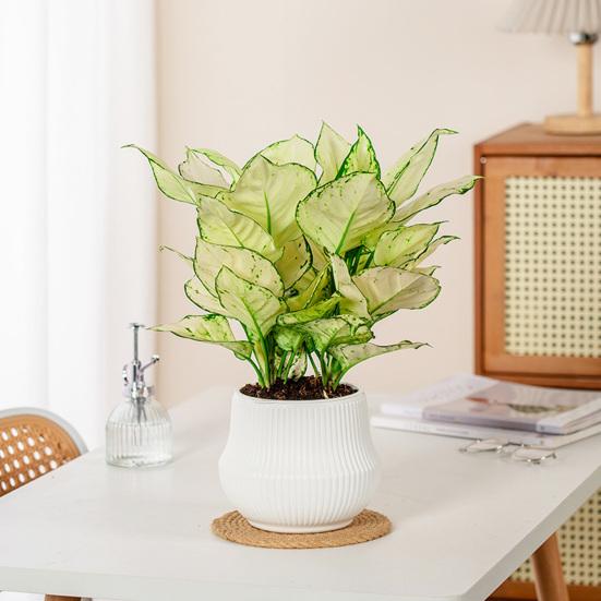 Automatic Water-absorbing Flowerpot with Vertical Grain Texture White Nordic Style Flower Pot for Home Decor