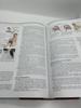 [USED] Set of 2 foreign medical books: Netter's Sports Medicine, etc.