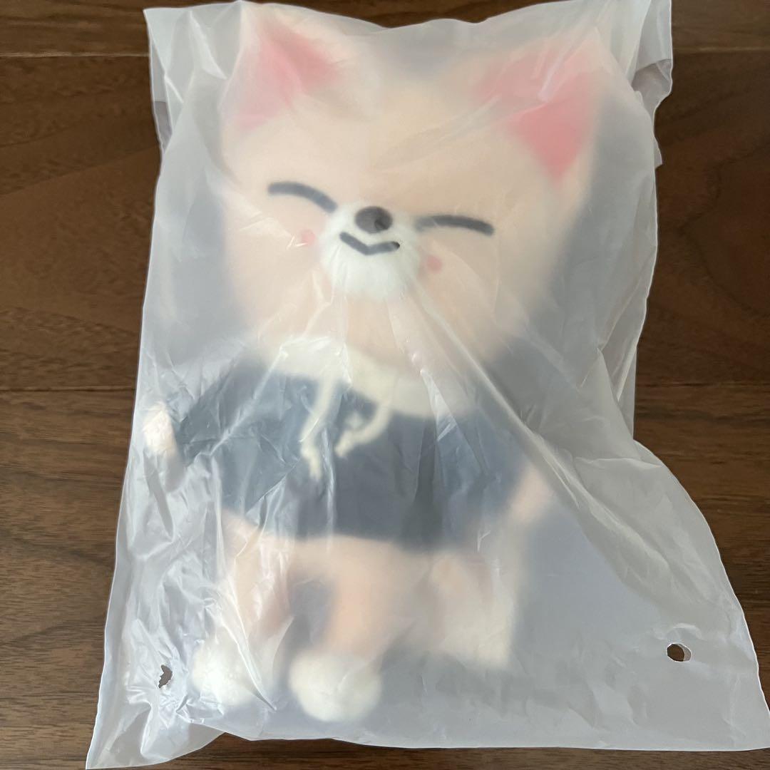 

[USED] Stray Kids, Ien, JYP, Pop-Up, SKZOO Plush