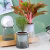 Self Watering Plant Pot Flowerpot with Drainage Holes And Transparent Water Reservoir Indoor Self Watering Planter for Home Office Decor
