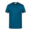 James and Nicholson Mens Basic T-Shirt
