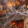 Creepy Fabric for Costume Party Spider Web Halloween Decoration, Super Stretchy Large Cobweb Prop Scary Supplies Carnival with 2 Fake Spiders