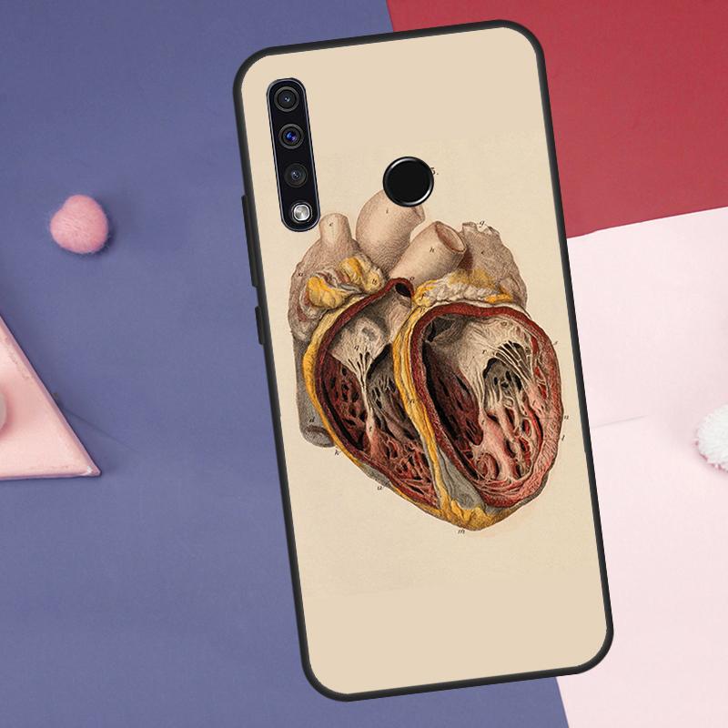 Human Anatomy Case For Huawei Nova 12s 12i 11i 8i 7i Y73 Y70 Y90 Y60 Y72 Y61 Y91 9 10 SE P40 Lite P30 Pro