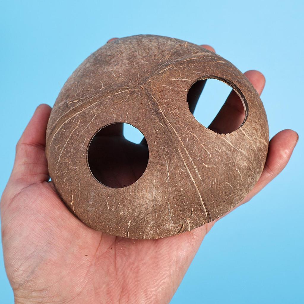 Reptile Shelter Coconut Cave Turtle Coconut Cave Reptile Hiding Cave Natural Coconut Shells Turtle Aquarium Hide House Decor