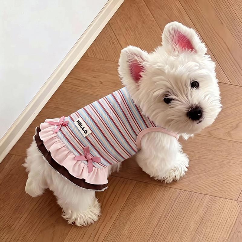 Dog clothes Autumn and winter rainbow striped dress Bigbear cat teddy Pomeranian small dog velvet pet vest