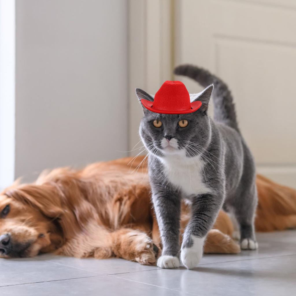 Cowboy Dog Cat Hat Pet Costume Supplies Premium Non-Woven Material Adjustable Strap for Western Theme Party Graduation
