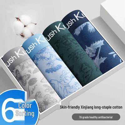 Cuecas – Calções bóxer