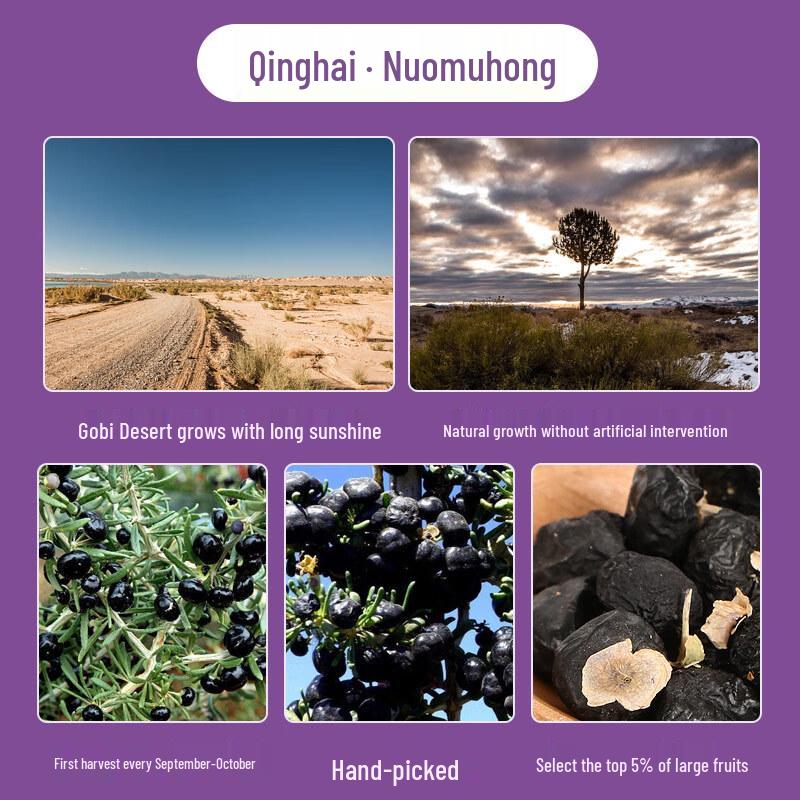 YangYiJun Wild Qaidam Black Goji Berries