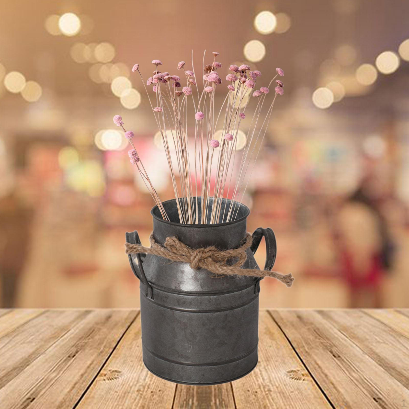 

Metal Flower Vase Bucket with Side Handles Ornaments Plant Pot Holder Country Jug for bronze