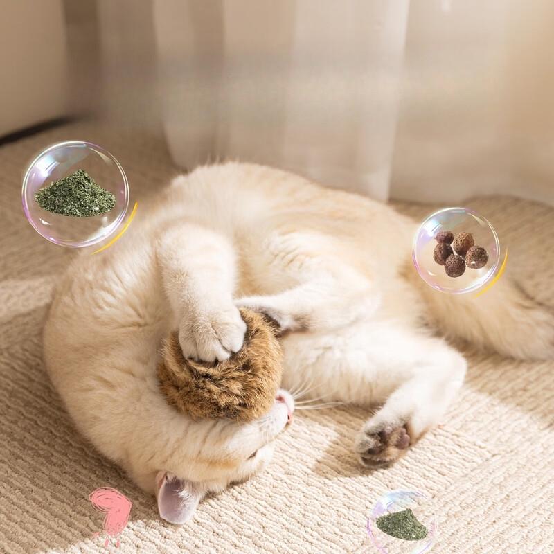 VZZS Catnip Cat Toys