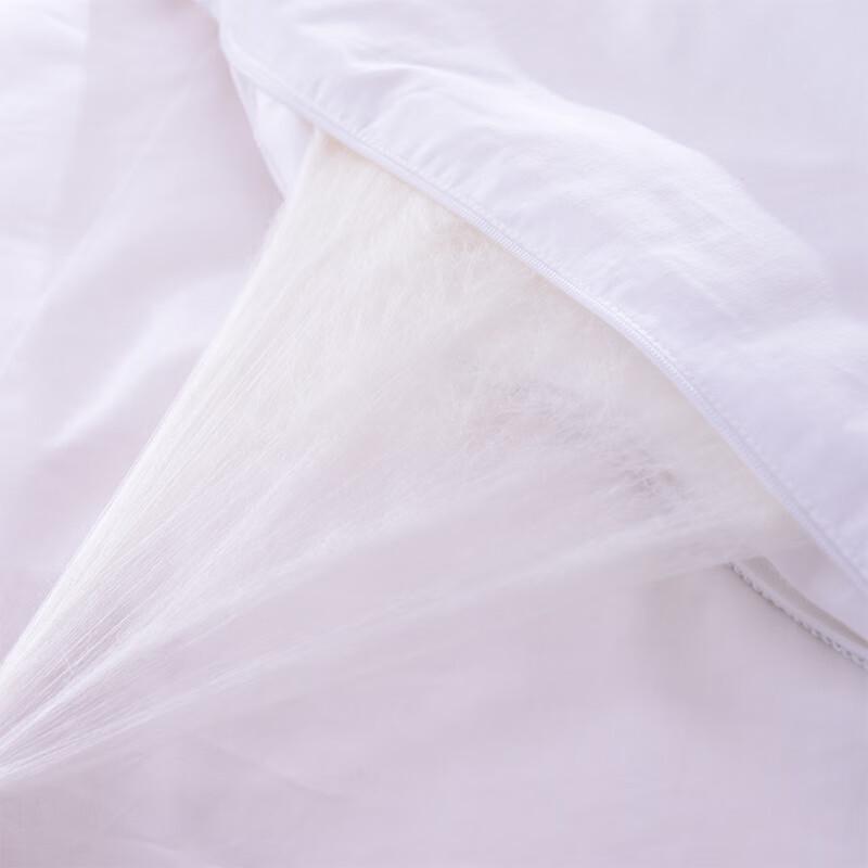 HEJIAN Pure Tussah Silk Quilt