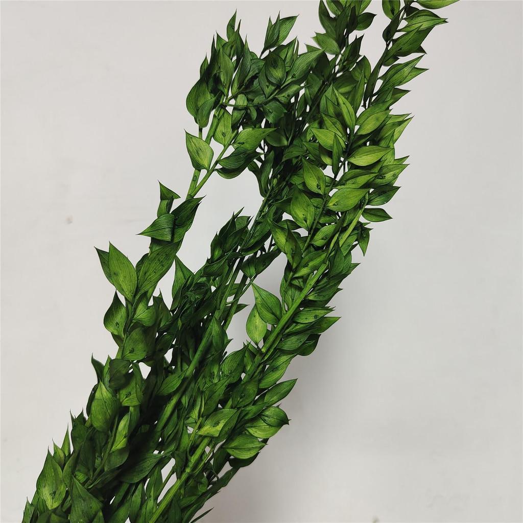 Rich Noble Leaf Dried Panda Bamboo Flowers - Photography Props for Weddings, Living Room, or Hotel Decorations