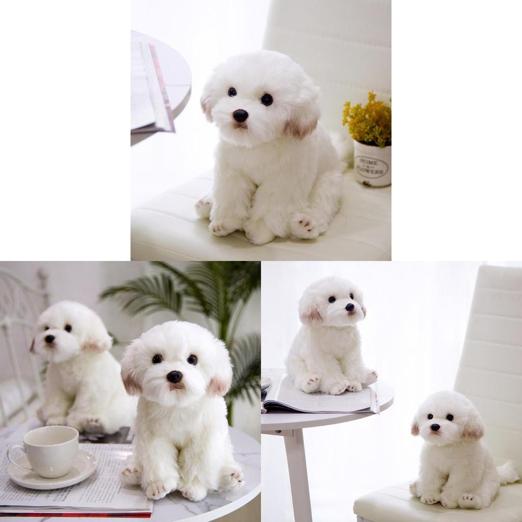 Dog Plush Maltese Toy Animal Stuffed Doll Home Bedroom Decoration Gift Kids