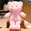 Teddy Bear Plush Toy Cute Stuffed Soft Animal Bear with Ribbon Doll for Kids Baby Children Birthday Gift Valentine's Gift