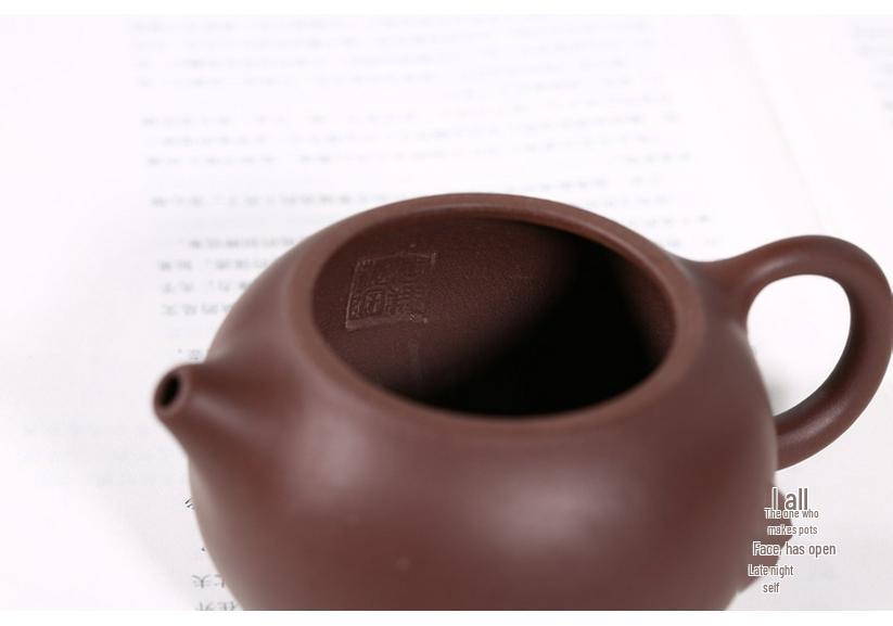 Yixing Zisha Purple Clay Handmade Xi Shi Teapot Collection