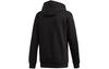 Adidas Trifoil Essentials Pullover Hoodie FM9956