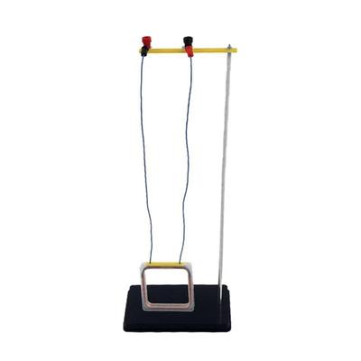 Dimostratore Portatile Regola della Mano Sinistra Destra Ausilio Didattico di Fisica Materiale per Esperimento di Induzione Elettromagnetica per Laboratorio