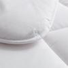 LOVO Warm Ginger Antibacterial Silky Soft Quilt