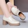 Veterschoenen, Leren Schoenen voor Lente en Herfst, Werkschoenen voor Dames, Dikke Hakken, Plateau Hoge Hakken