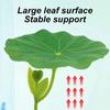 1pcs Green Leaf Hammock For Betta Fish Stress-Reducing Aquarium-Safe Decor With Suction Cup For Fish Tank Fake Plants Decoration