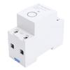 WiFi Timer Switch 2P 40A Programmable APP Control Voice Control Smart Time Switch for Home