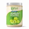 Bhumi Polvere Pura Biologica di Amla 500 Grammi