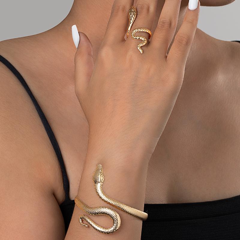 

2 шт. Панк Браслети у формі змії Кільце Набір ювелірних виробів Спіральні браслети-змії з відкриттям Кільця для пальців Жіночі Чоловічі Прикраси для рук